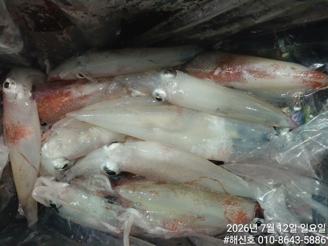 ����ڰ� �ø� �̹���