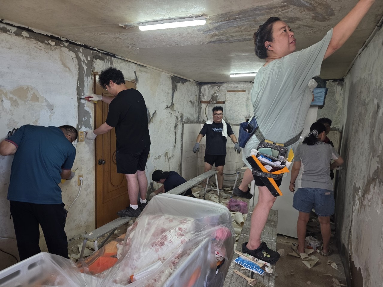사용자가 올린 이미지
