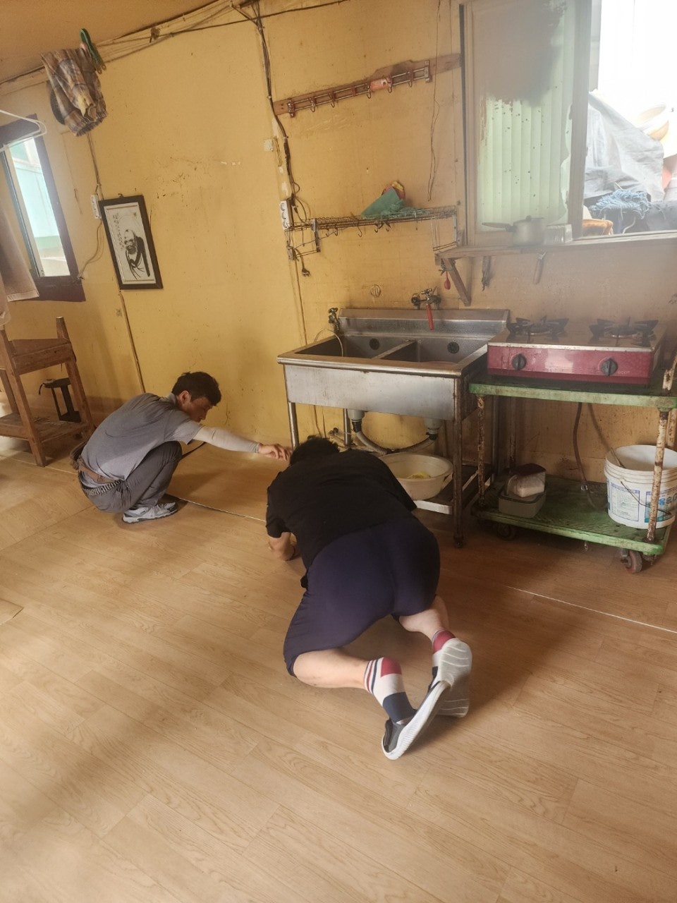 사용자가 올린 이미지