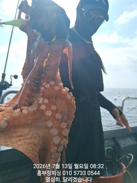 ����ڰ� �ø� �̹���