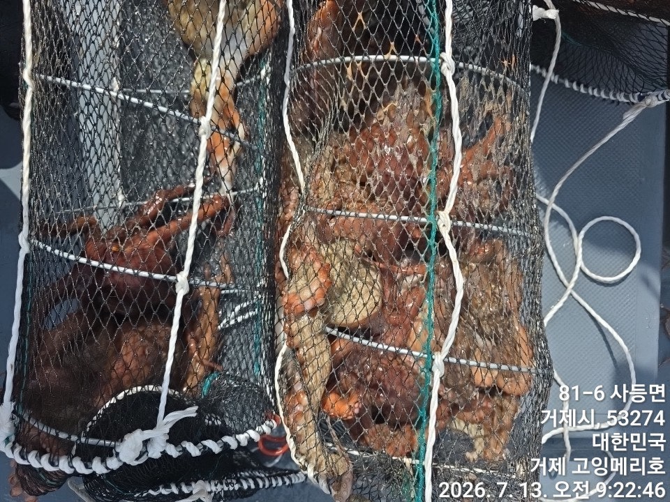 ����ڰ� �ø� �̹���