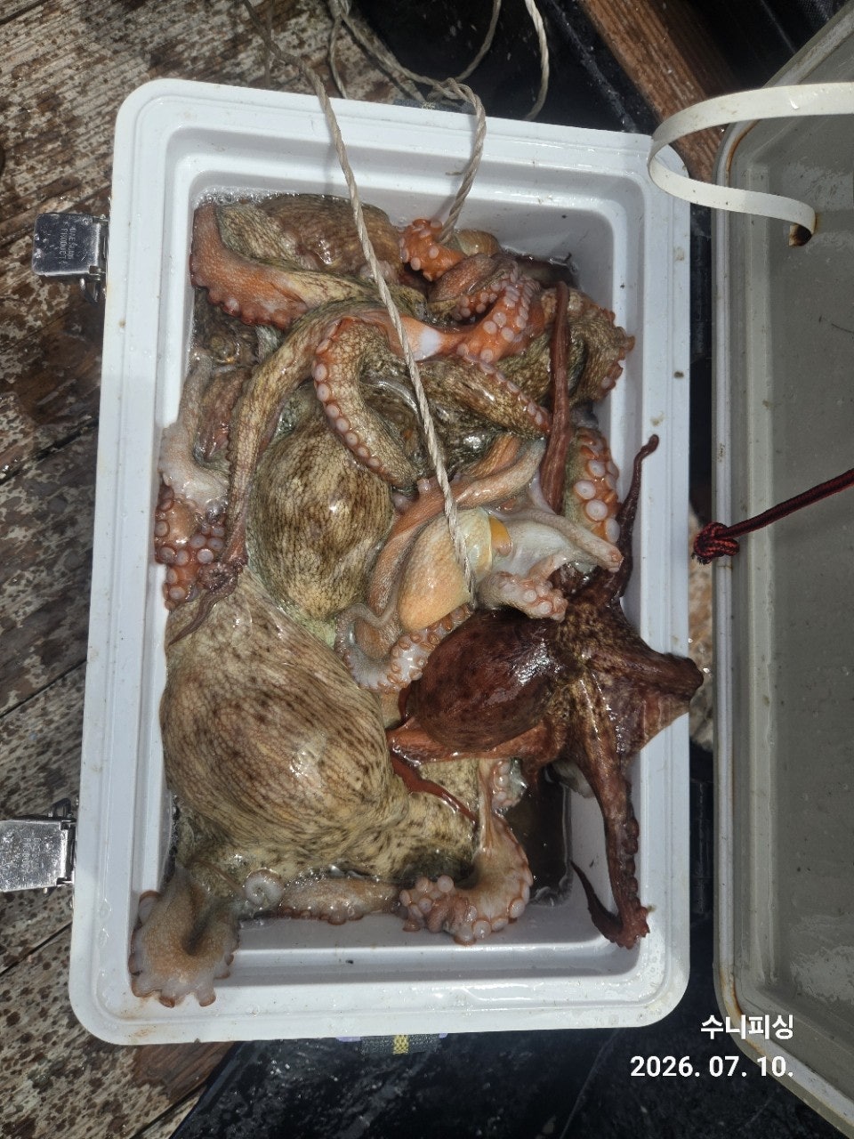 ����ڰ� �ø� �̹���