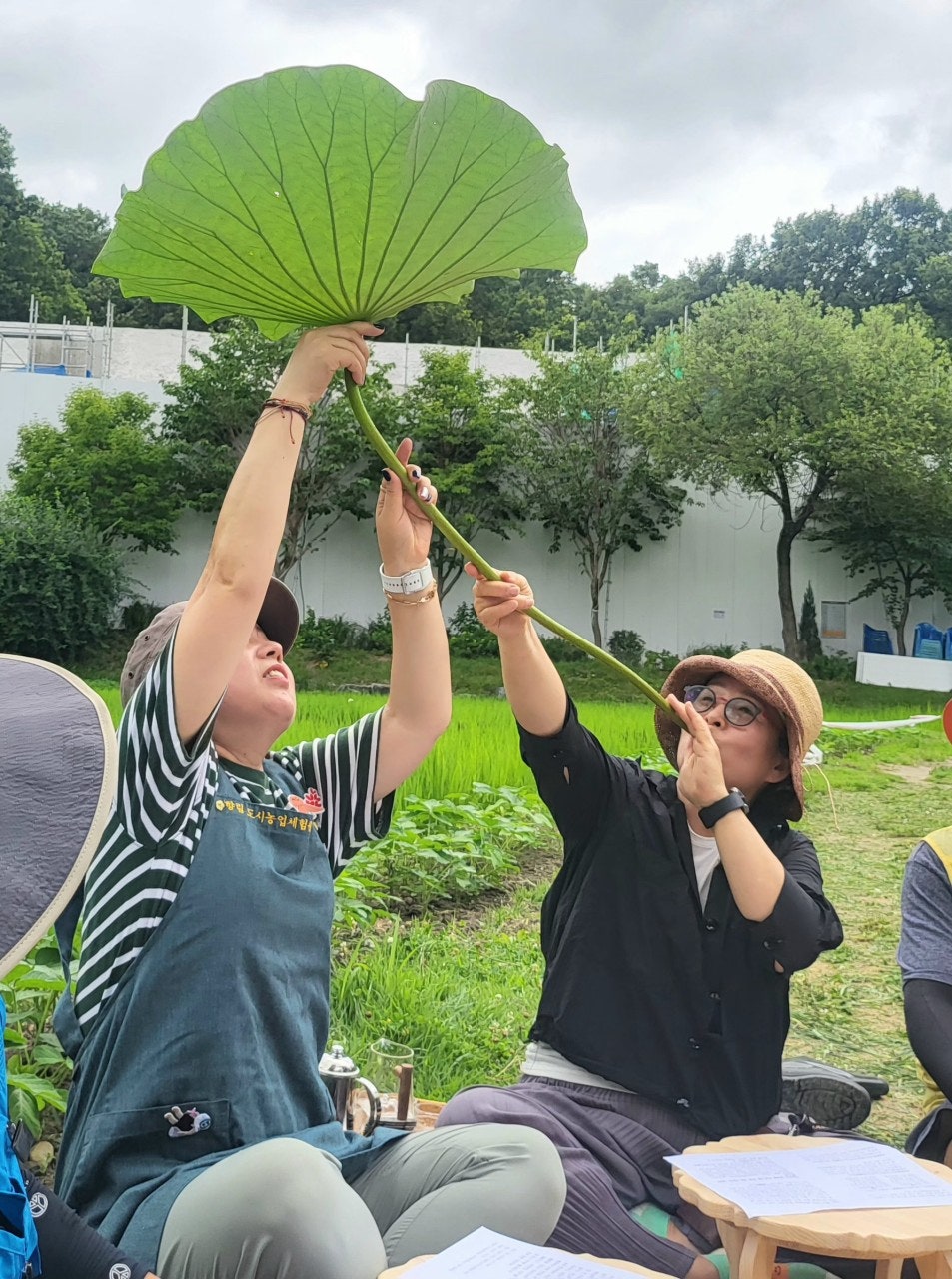 사용자가 올린 이미지