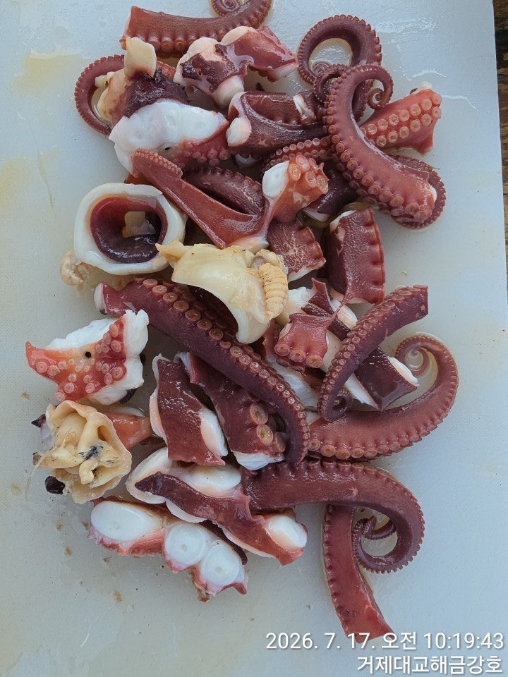 ����ڰ� �ø� �̹���