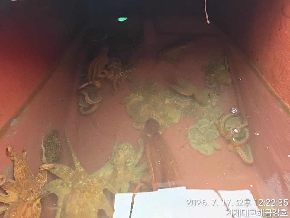 ����ڰ� �ø� �̹���