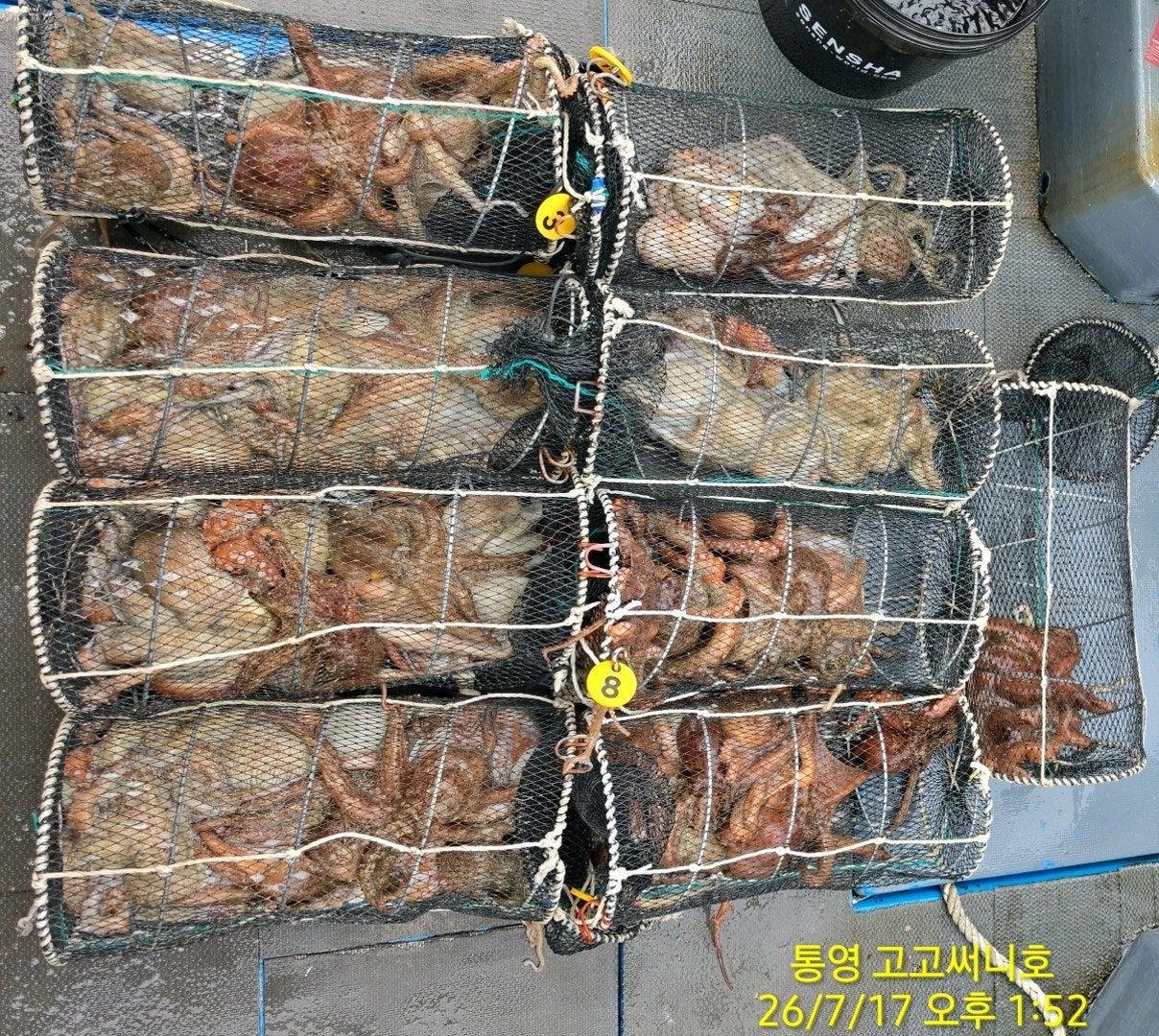 ����ڰ� �ø� �̹���