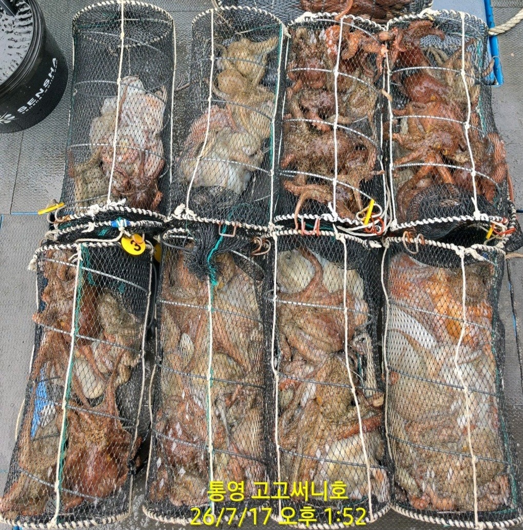 ����ڰ� �ø� �̹���