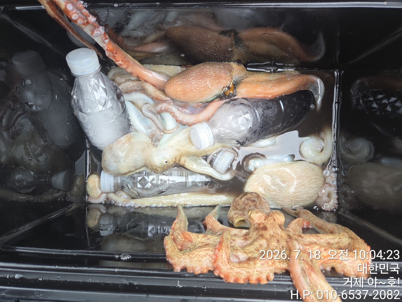 ����ڰ� �ø� �̹���