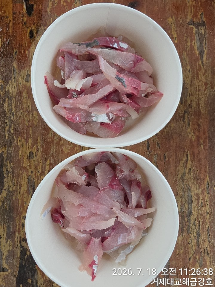 ����ڰ� �ø� �̹���