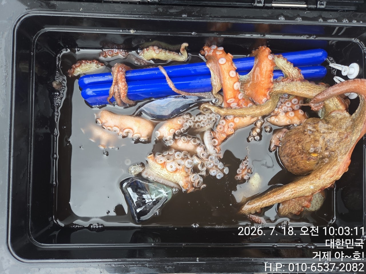 ����ڰ� �ø� �̹���