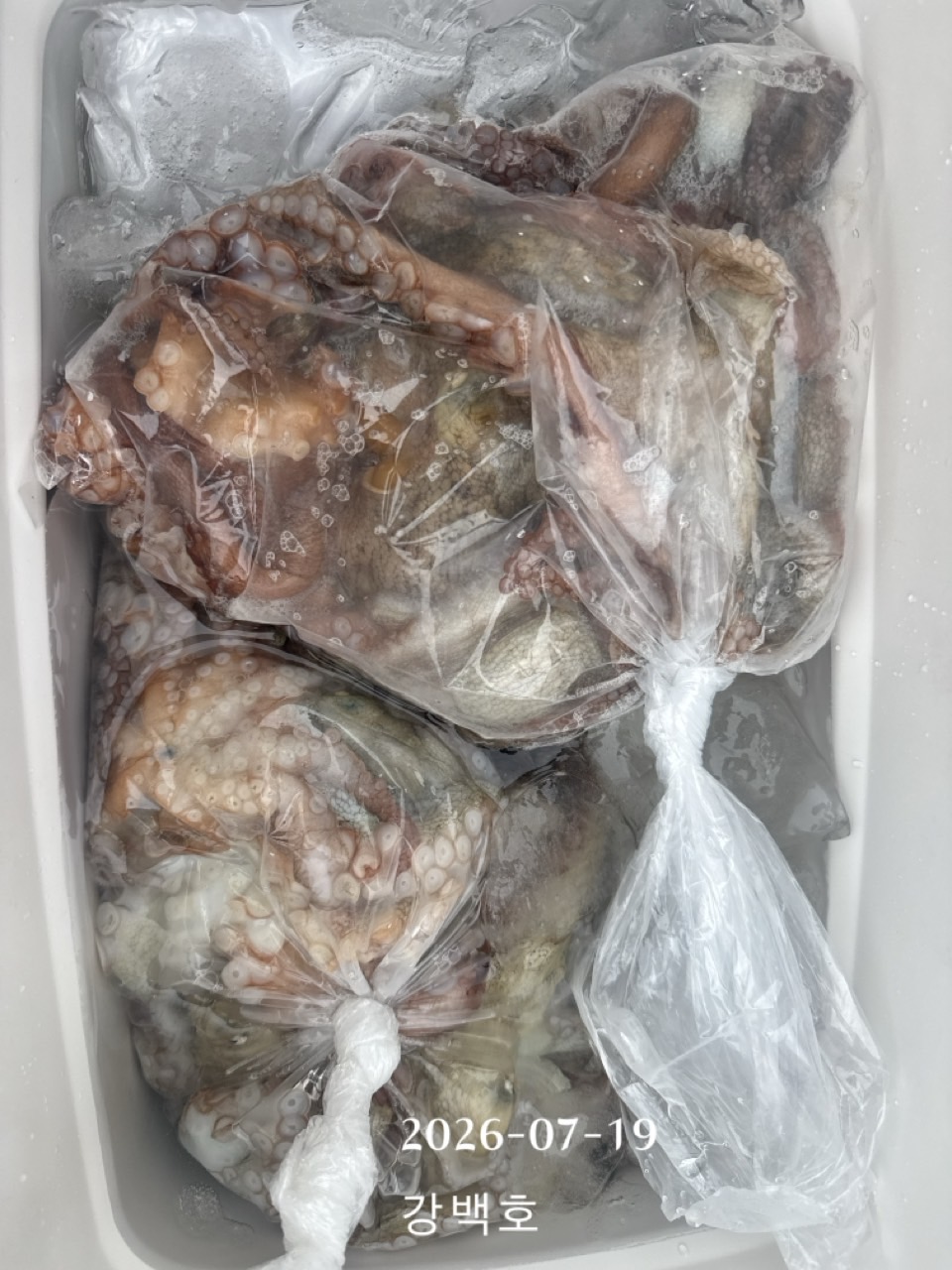 7월 20일 삼천포 문어낚시 출조 사진 2