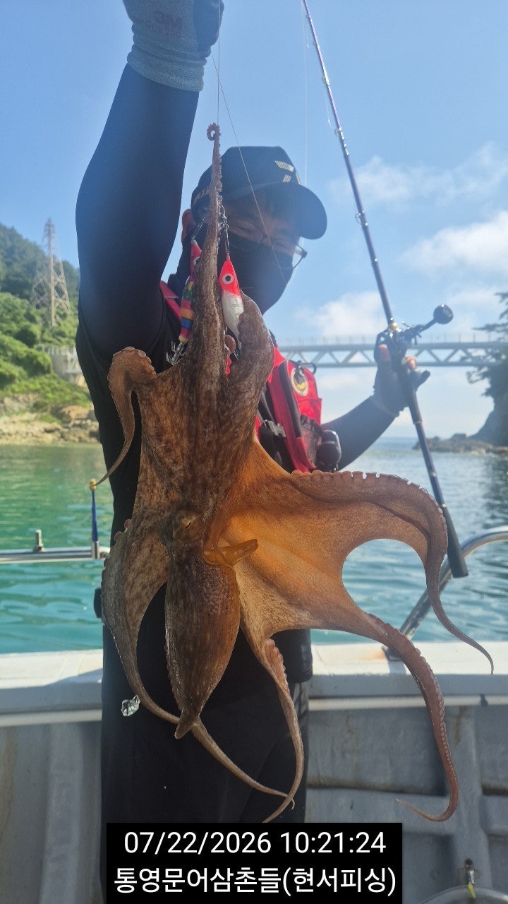 ����ڰ� �ø� �̹���