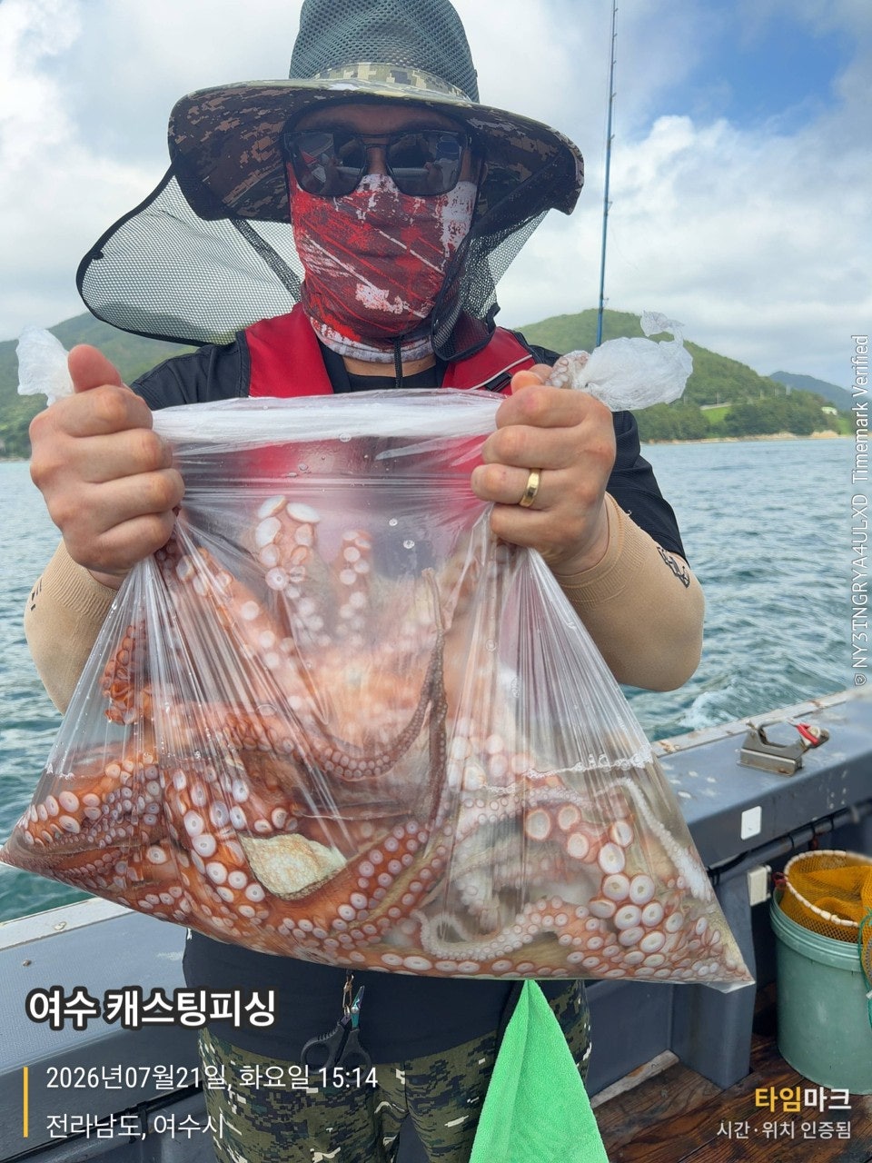 사용자가 올린 이미지