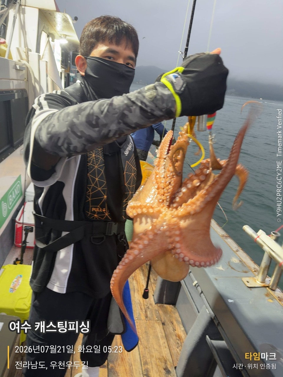사용자가 올린 이미지