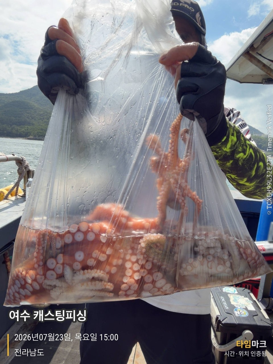 사용자가 올린 이미지