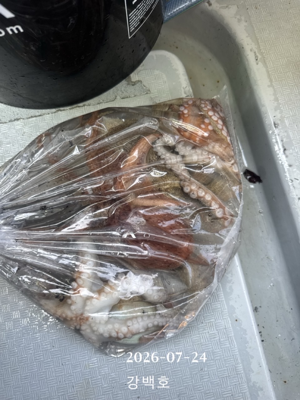 7월 24일 삼천포 문어낚시 출조 사진 3