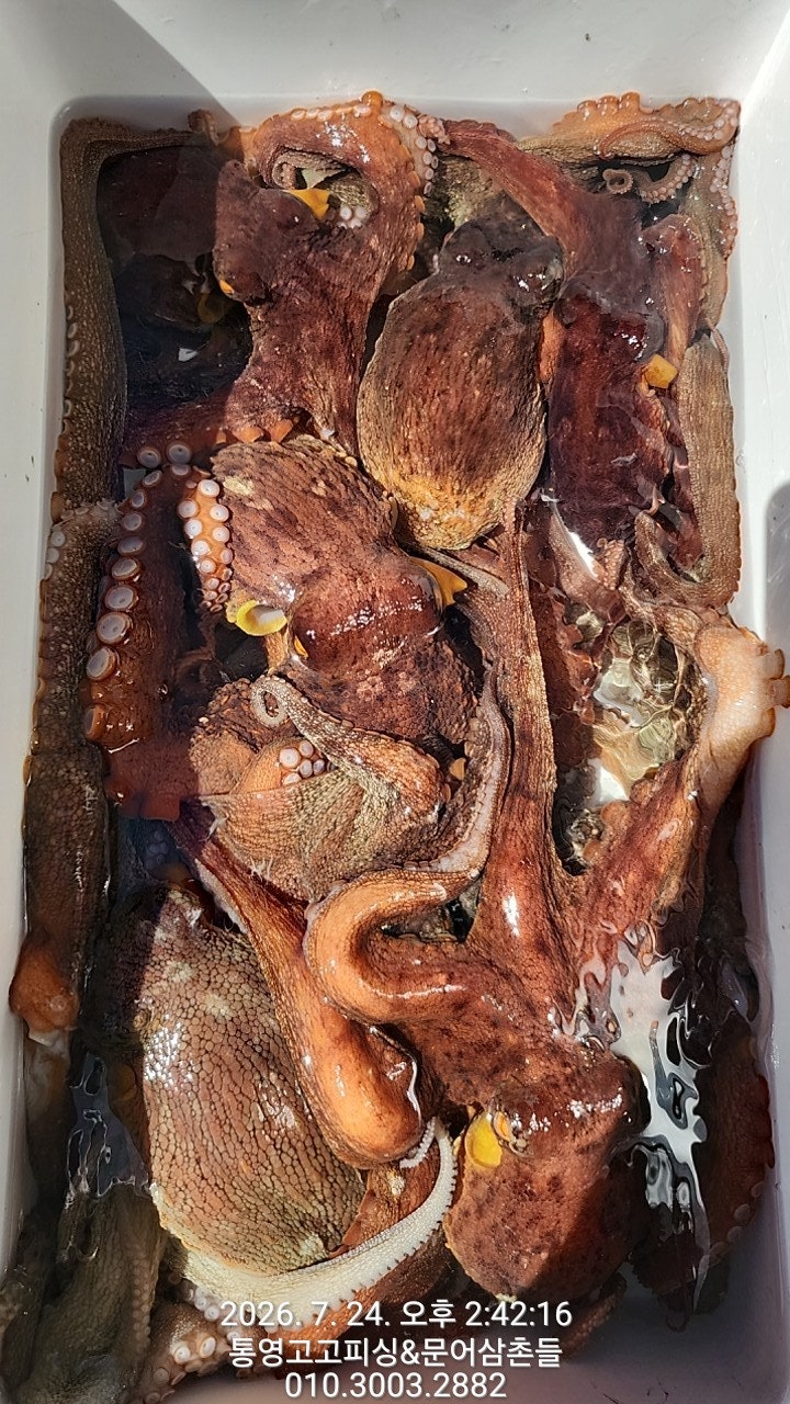 ����ڰ� �ø� �̹���