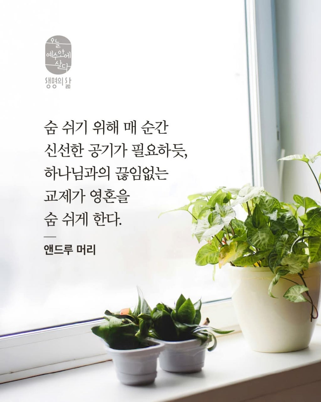 ����ڰ� �ø� �̹���