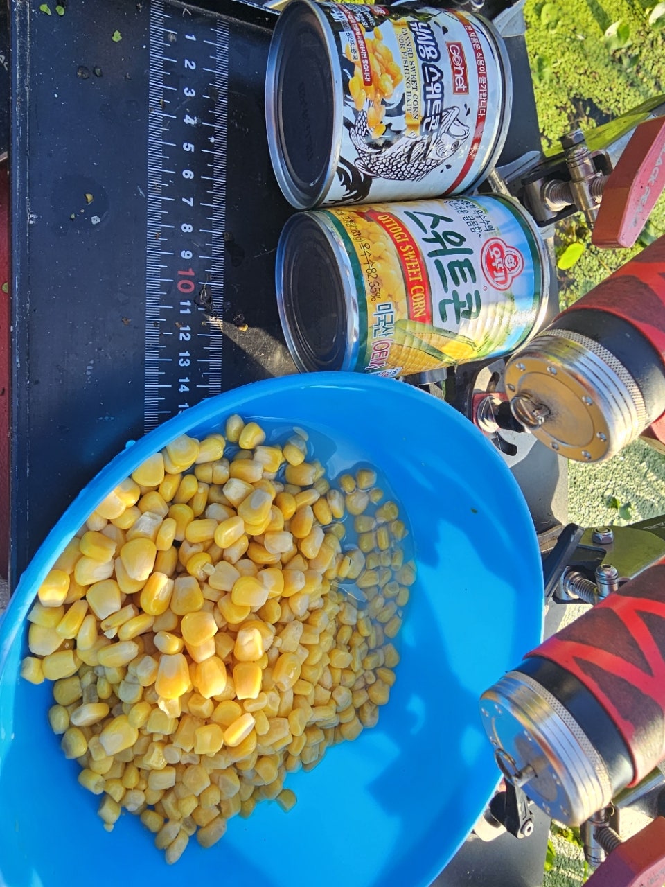 ����ڰ� �ø� �̹���