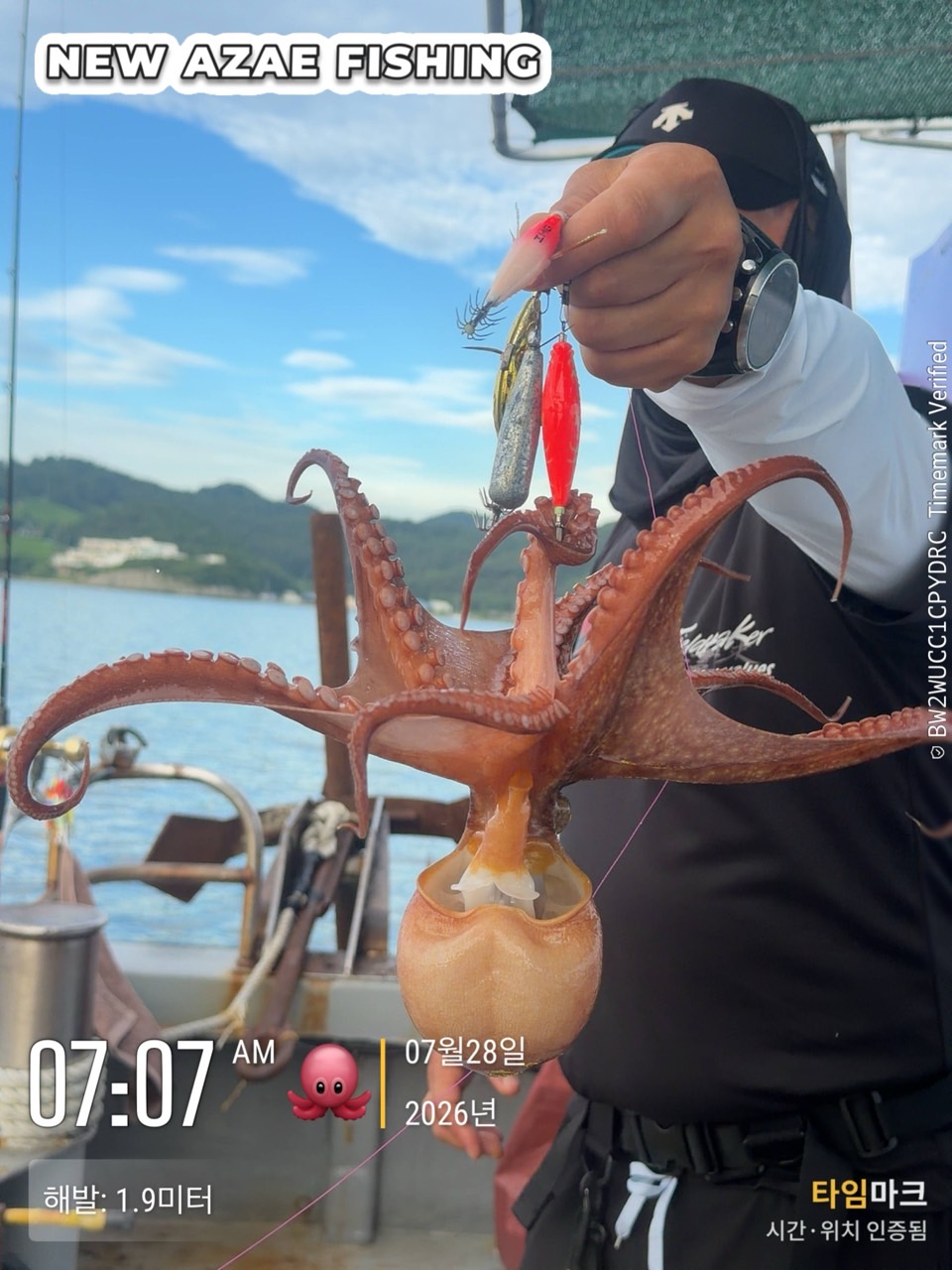 7월 28일 삼천포 문어낚시 2kg급 대물 출조 사진 6