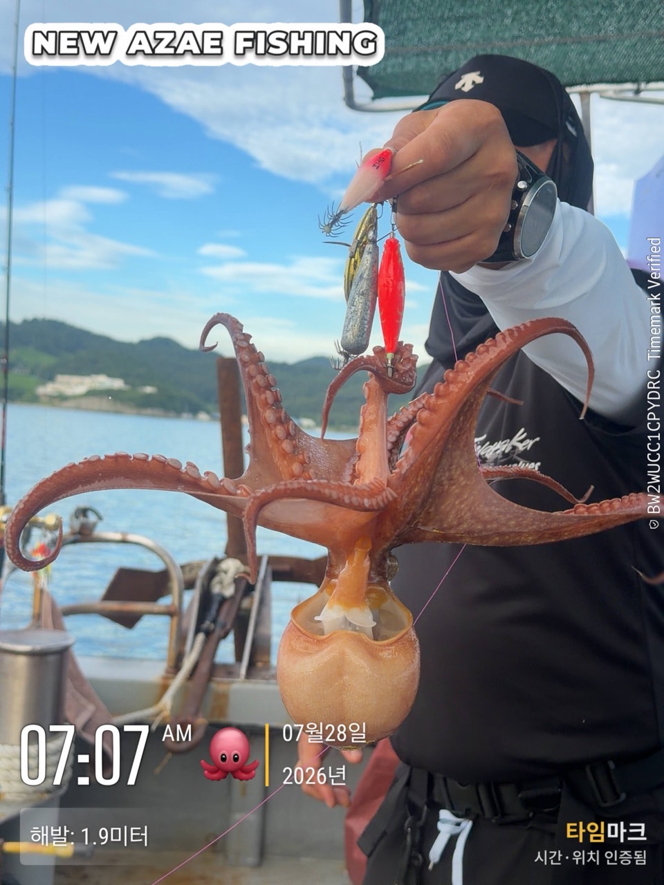 7월 28일 삼천포 문어낚시 2kg급 대물 출조 사진 10