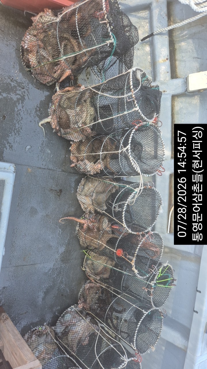 ����ڰ� �ø� �̹���