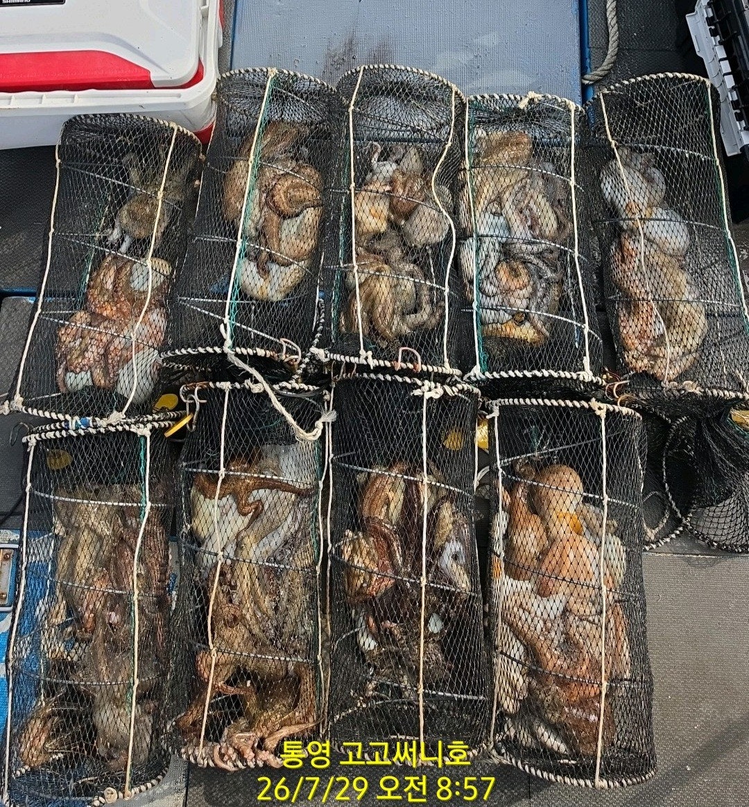 ����ڰ� �ø� �̹���