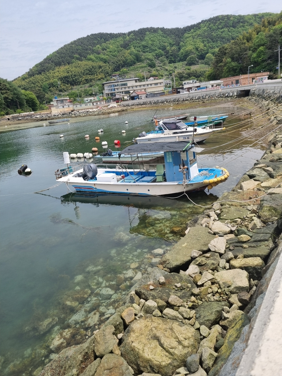 어선 1.23톤 연안통발허가 선외기 115마력 판매합니다.