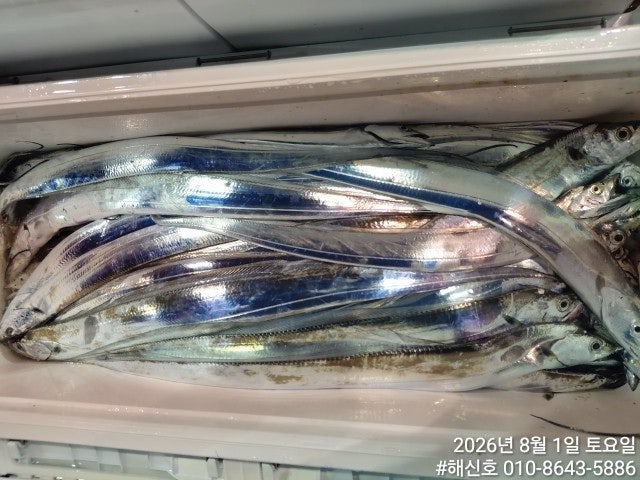 ����ڰ� �ø� �̹���