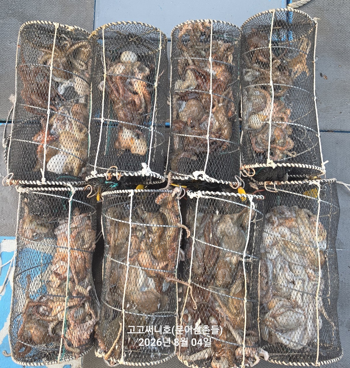 ����ڰ� �ø� �̹���
