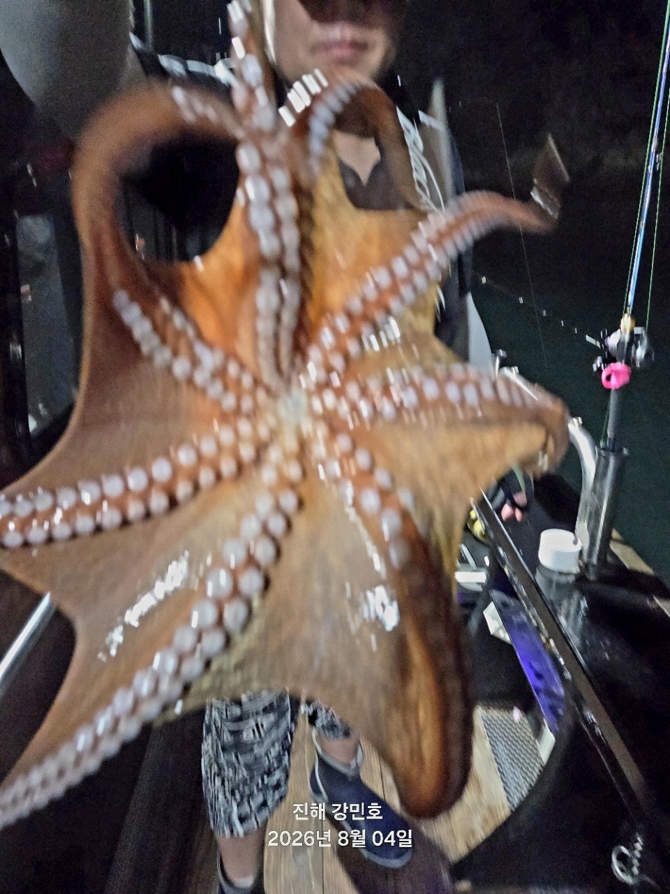 ����ڰ� �ø� �̹���