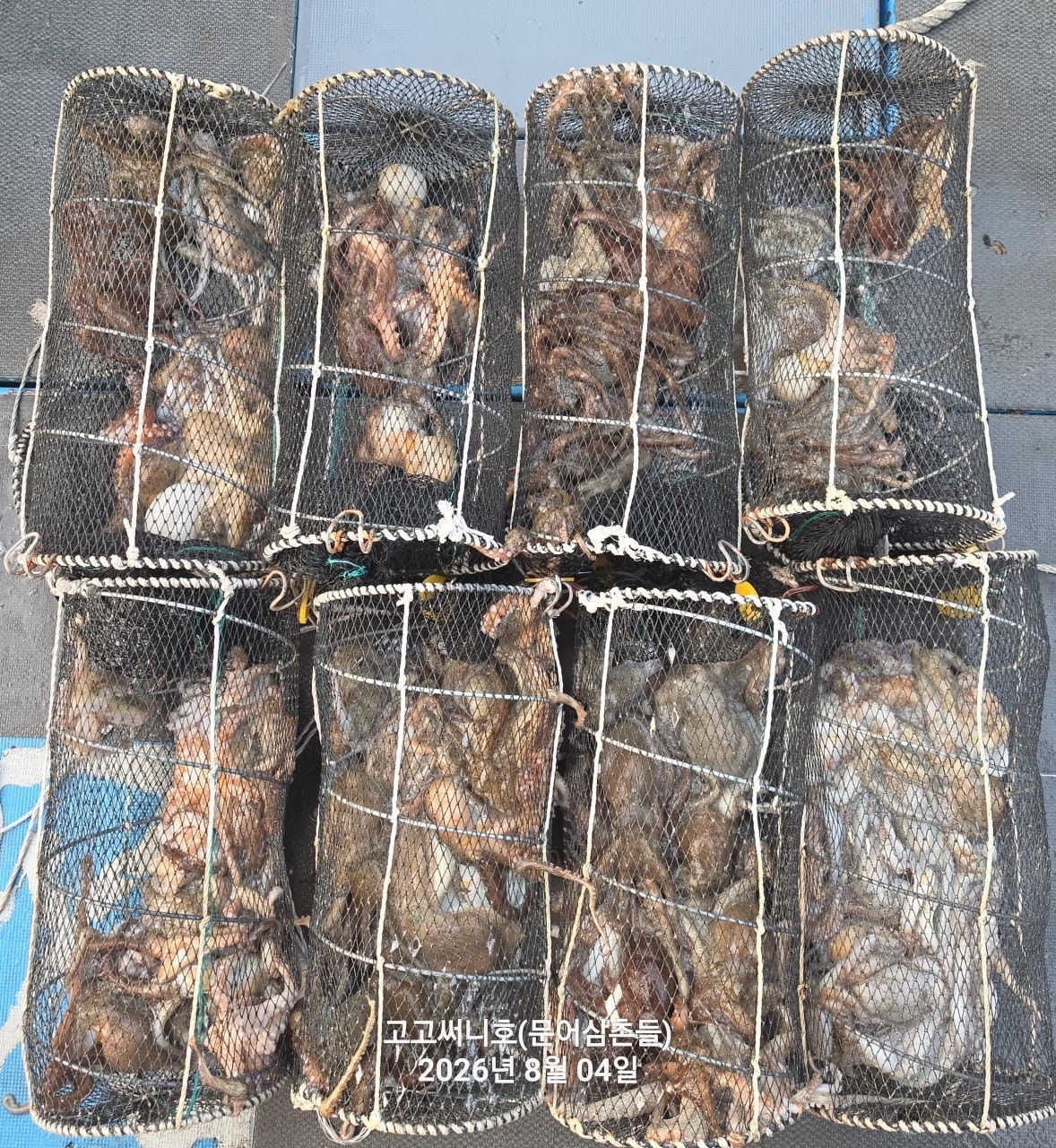 ����ڰ� �ø� �̹���