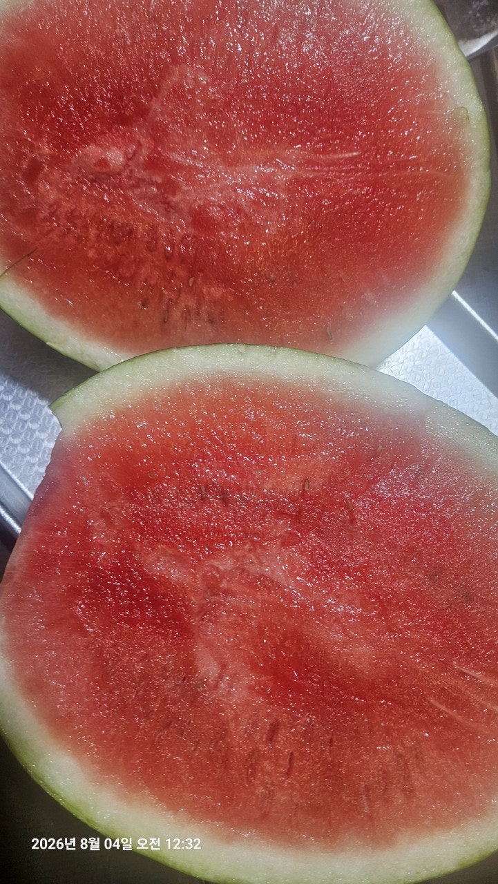 ����ڰ� �ø� �̹���