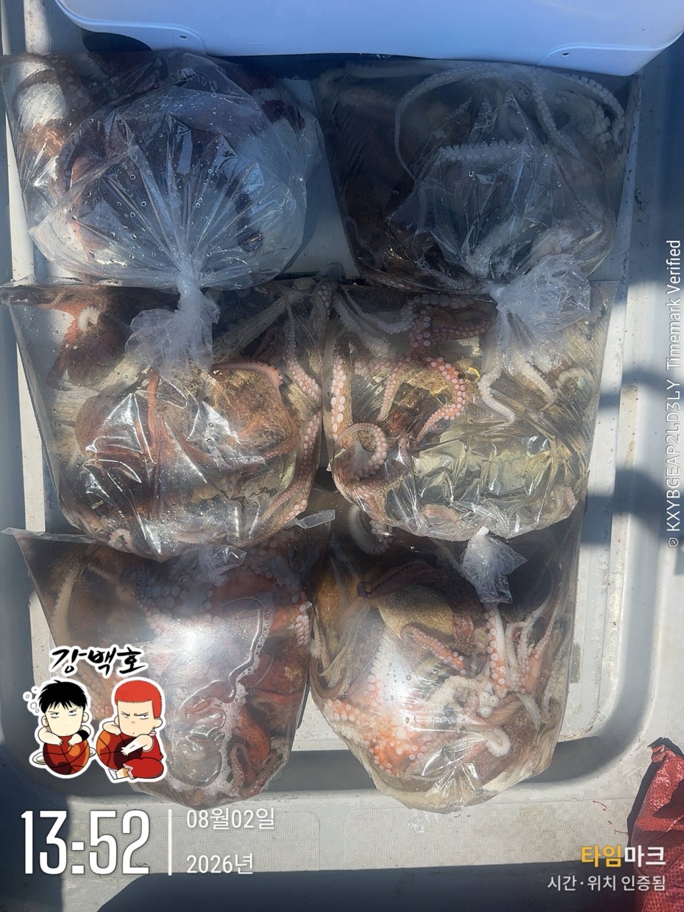 8월 4일 삼천포 문어낚시 출조 사진 6