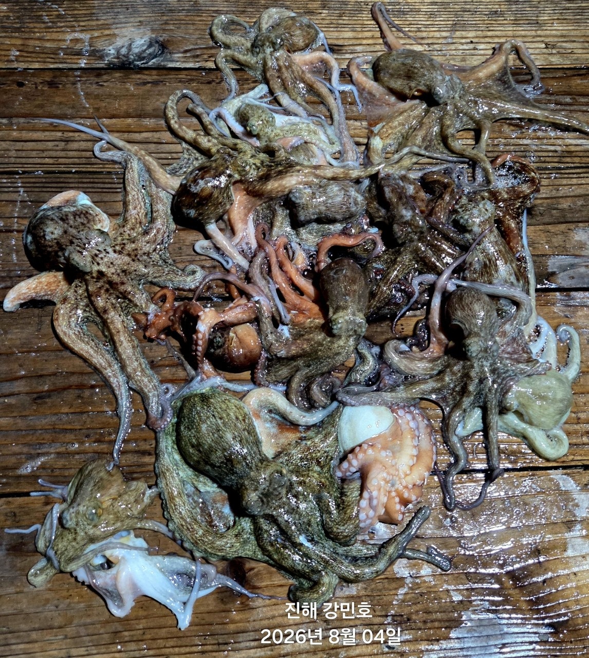 ����ڰ� �ø� �̹���