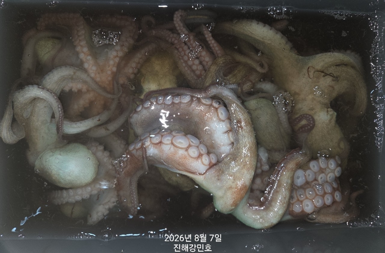 ����ڰ� �ø� �̹���