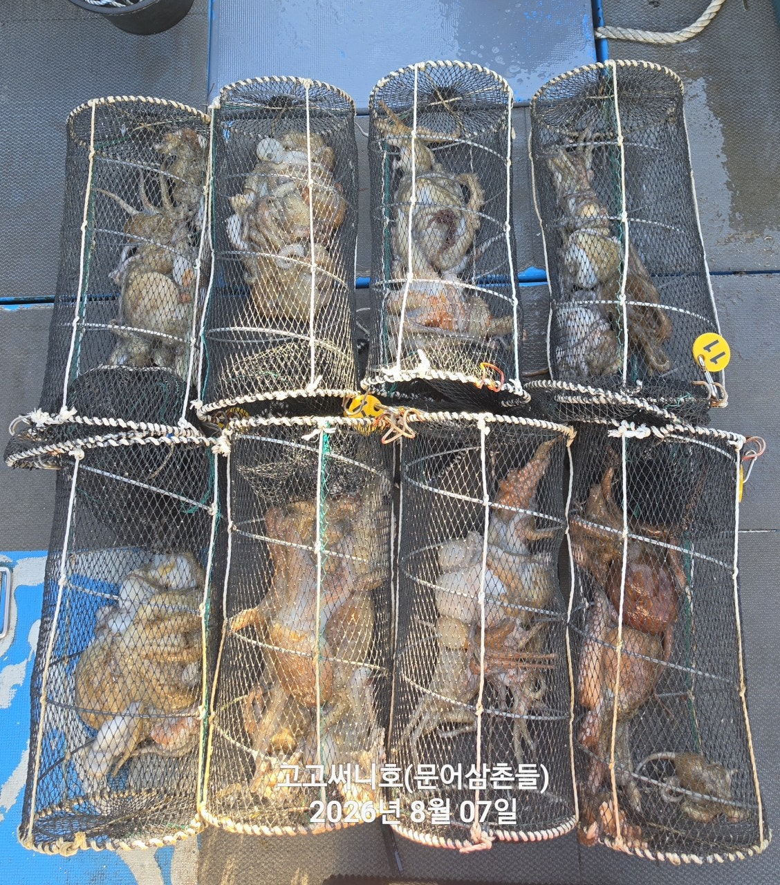 ����ڰ� �ø� �̹���