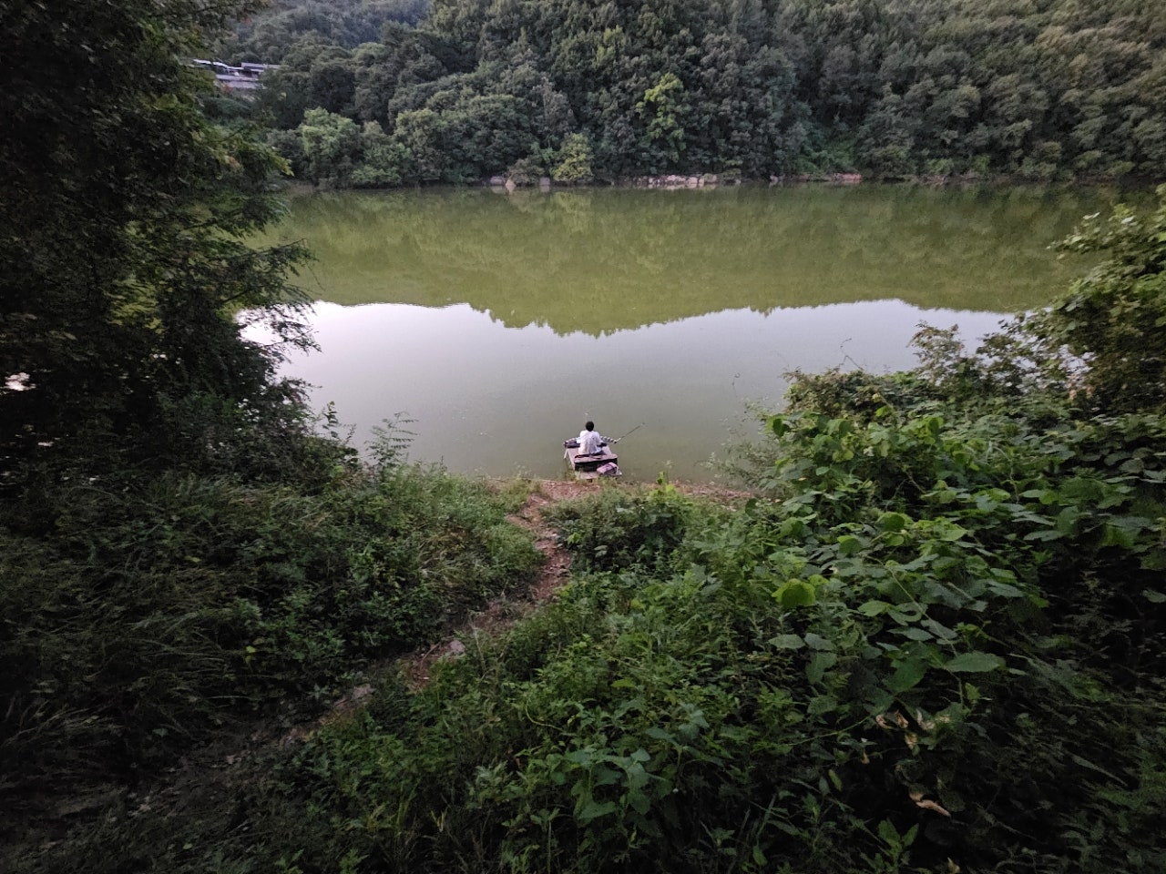 ����ڰ� �ø� �̹���