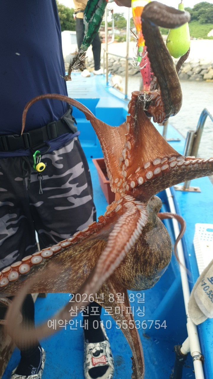 ����ڰ� �ø� �̹���