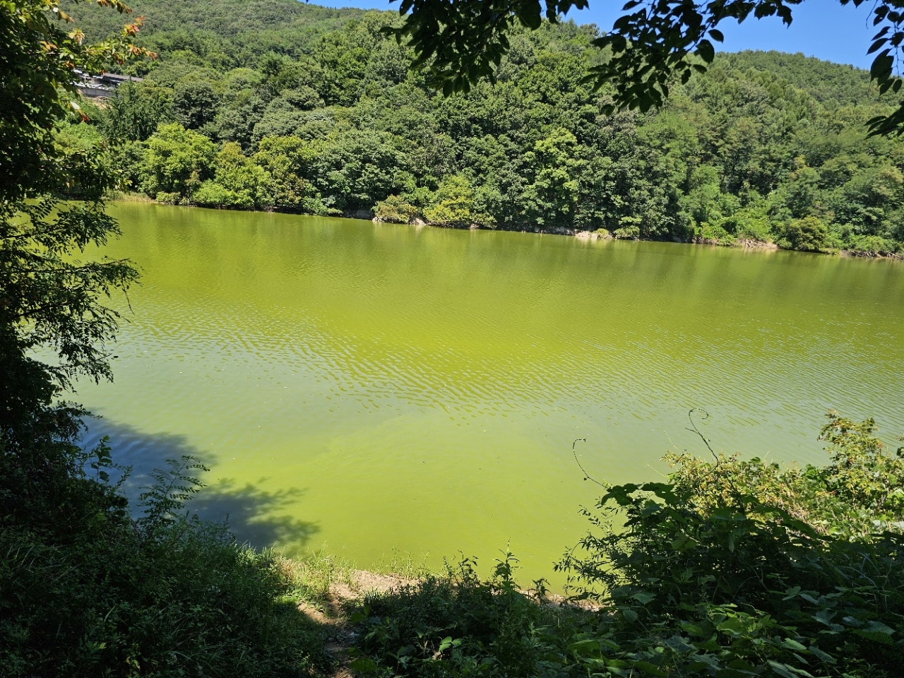 ����ڰ� �ø� �̹���