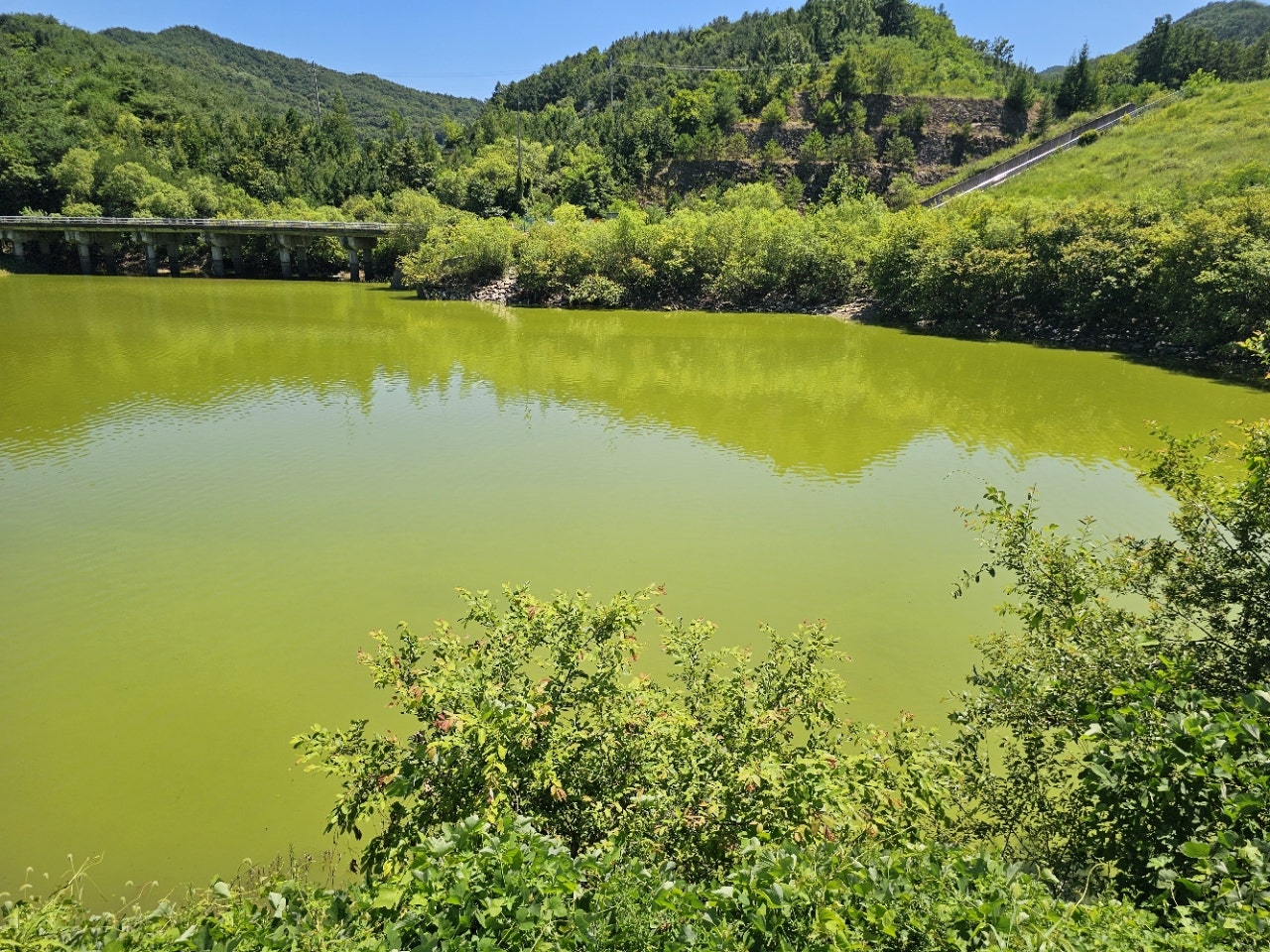 ����ڰ� �ø� �̹���