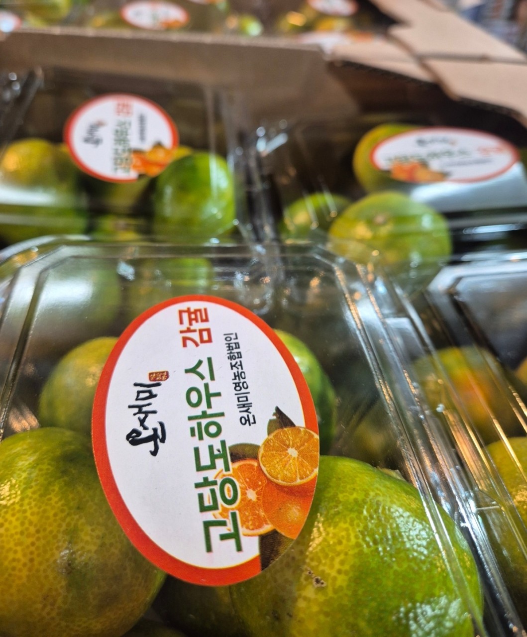 하우스 팩귤 1팩