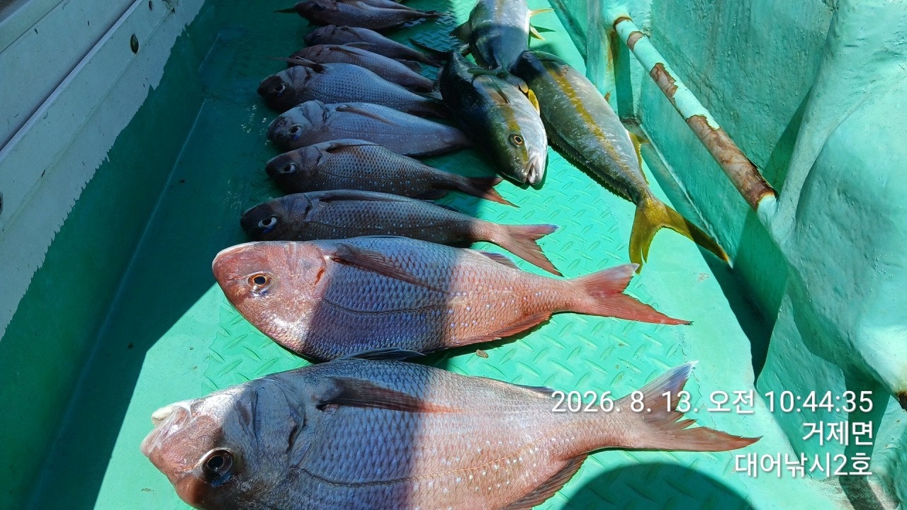 ����ڰ� �ø� �̹���