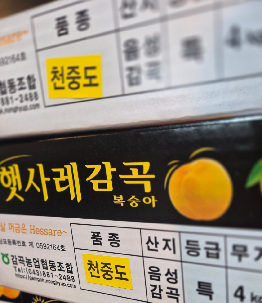 햇사레 말랑이복숭아 5개