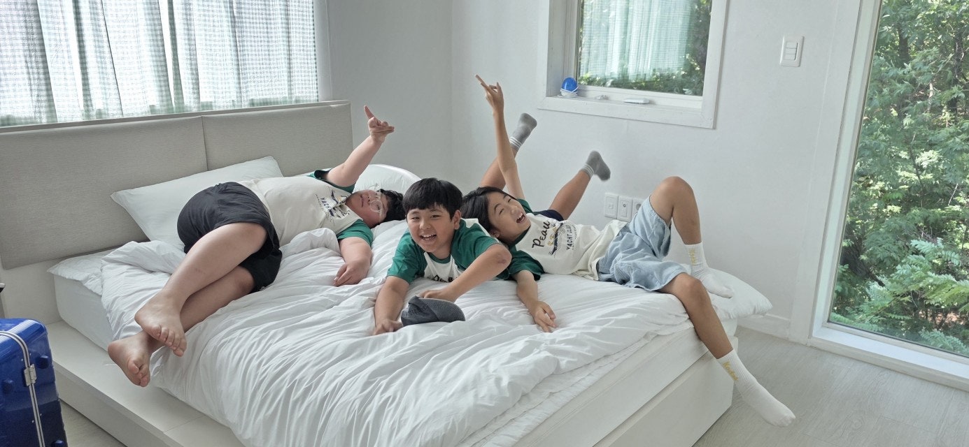 사용자가 올린 이미지