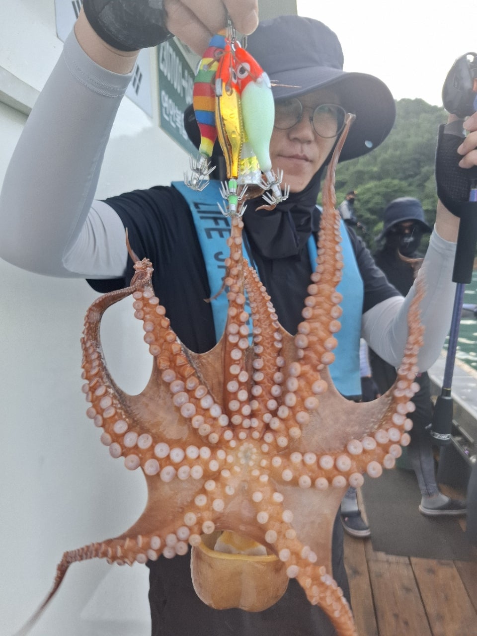 사용자가 올린 이미지