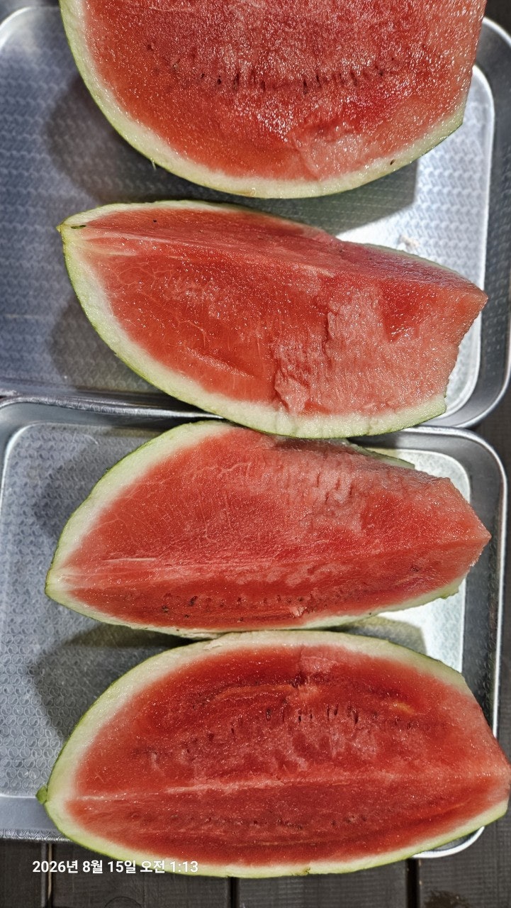����ڰ� �ø� �̹���
