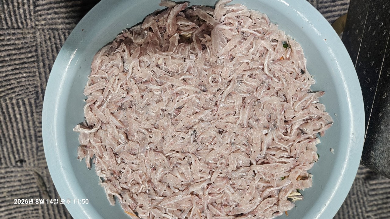 ����ڰ� �ø� �̹���