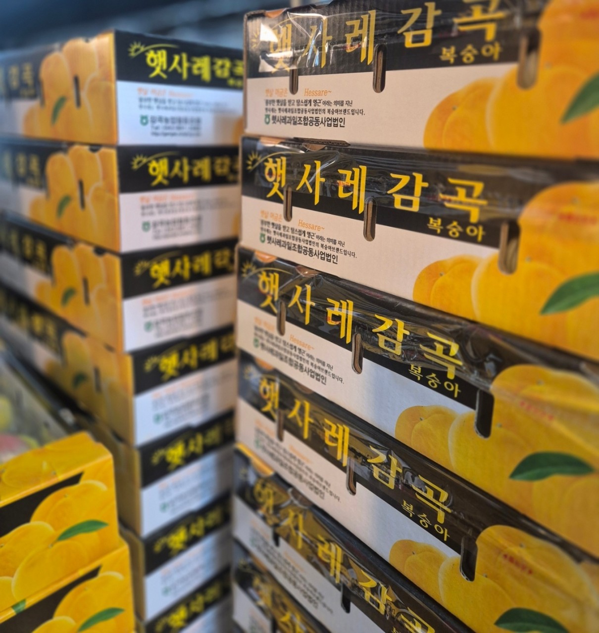 햇사레 말랑이복숭아 5개