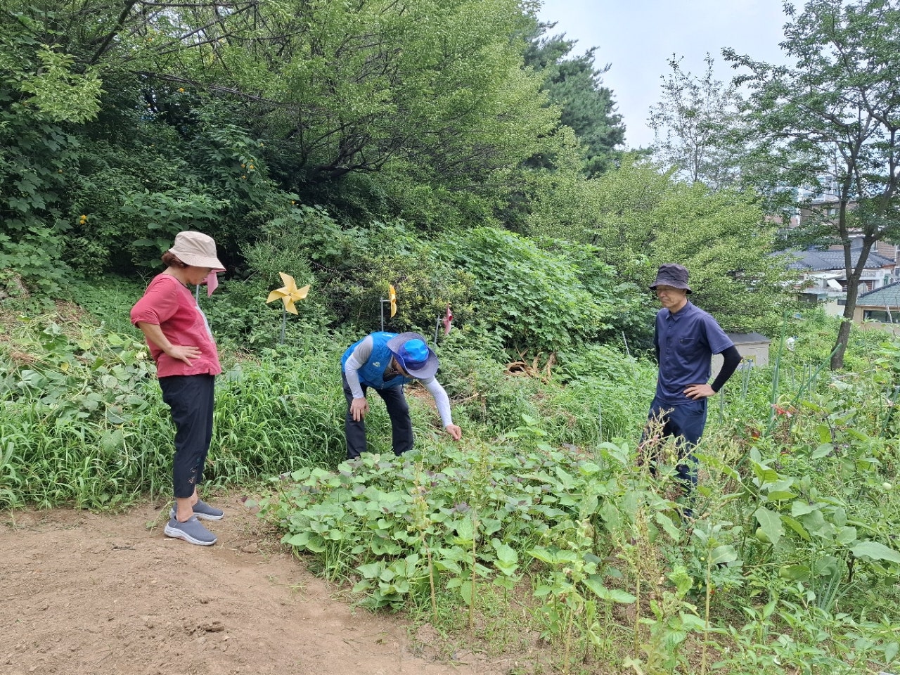 사용자가 올린 이미지